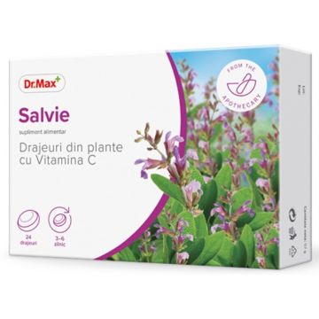 Dr. Max Drajeuri din plante cu salvie si vitamina C, 24 drajeuri Dr. Max Drajeuri din plante cu salvie si vitamina C, 24 drajeuri