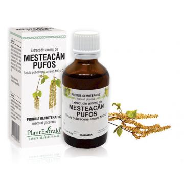 Extract din amenti de mesteacan pufos, 50ml, PlantExtrakt