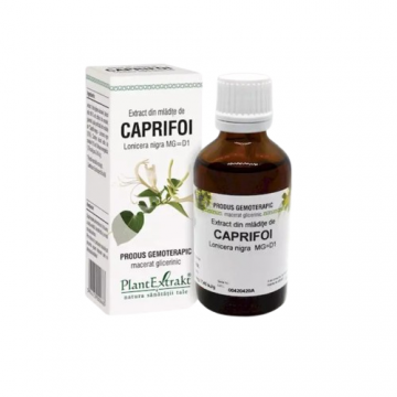 Extract din mladite de caprifoi, 50ml, PlantExtrakt Extract din mladite de caprifoi, 50ml, PlantExtrakt