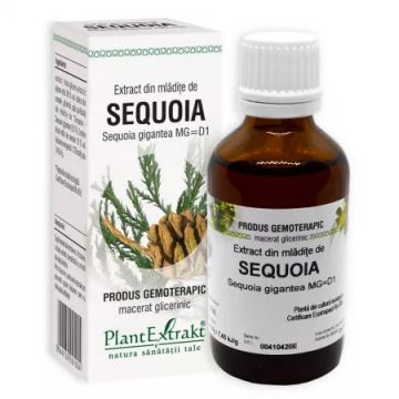 Extract din mladite de sequoia, 50ml, PlantExtrakt