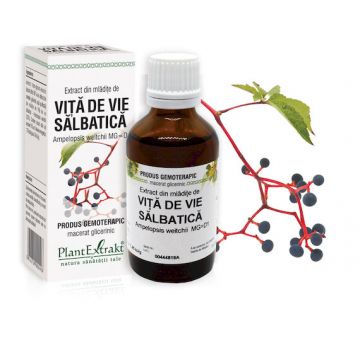 Extract din mladite de vita de vie salbatica, 50ml, PlantExtrakt