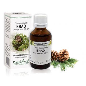 Extract din muguri de Brad, 50ml, PlantExtrakt