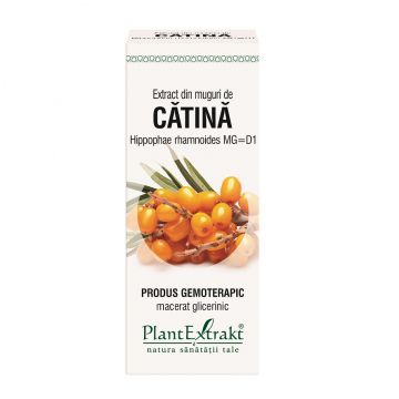 Extract din muguri de Catina, 50ml, PlantExtrakt