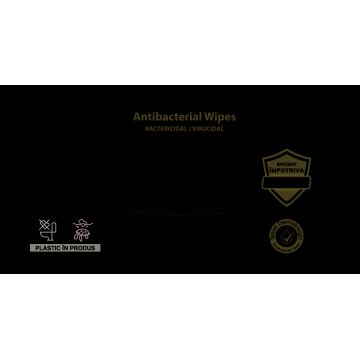 Servetele umede Antibacteriene Classic, 60 bucati, Expert Wipes