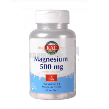 Magnesium 500 mg 60 capsule