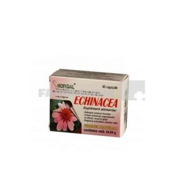 Echinacea 500 mg 40 capsule