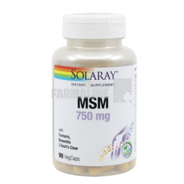 MSM 750 mg 90 capsule