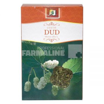 StefMar Ceai Dud frunze 50 g