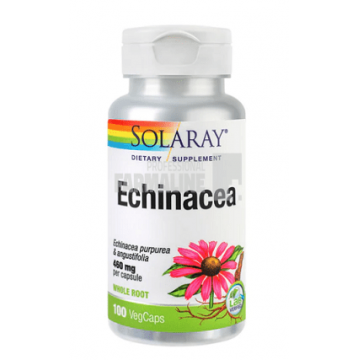 Echinacea 100 capsule