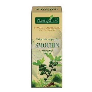 Extract din muguri de Smochin 50 ml