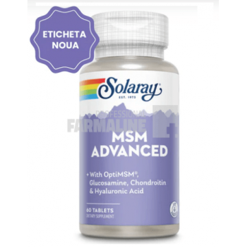 MSM Advanced 60 tablete