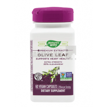 Olive Leaf (Frunze maslin) 60 capsule