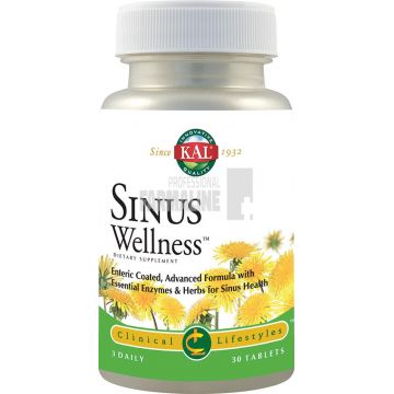 Sinus Wellness 30 tablete