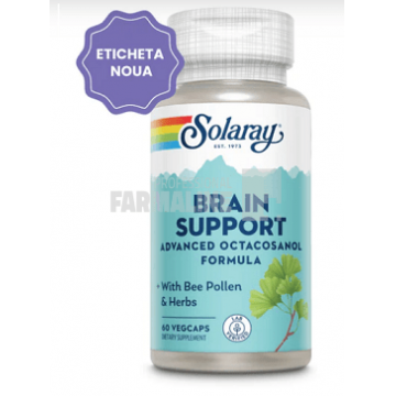 Brain Support 60 capsule