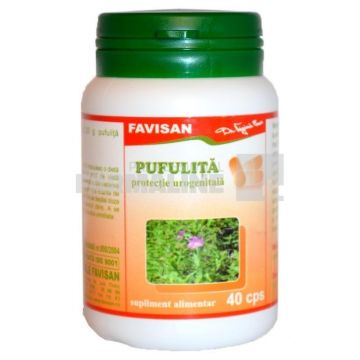 Favisan Pufulita 40 capsule