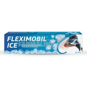 Fleximobil Ice Gel 45 g