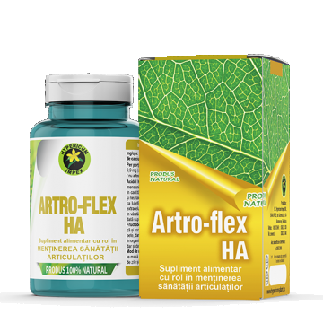 Artro Flex HA, 60 capsule, Hypericum