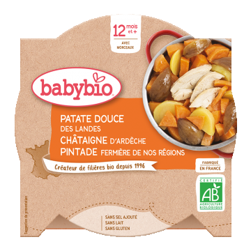 Meniu cartofi dulci, castane si bibilica Bio, 230g, BabyBio