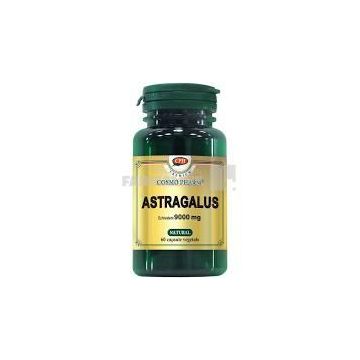 Astragalus 9000 mg 60 capsule + Astragalus 9000 mg 30 capsule Cadou