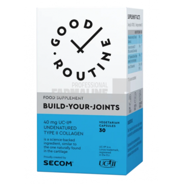 Build Your Joints - Good Routine 30 capsule