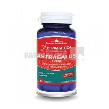 Astragalus 500 mg  60 capsule