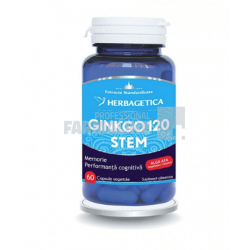 Ginkgo 120 Stem 60 capsule