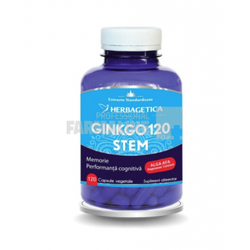 Ginko 120 Stem 120 capsule