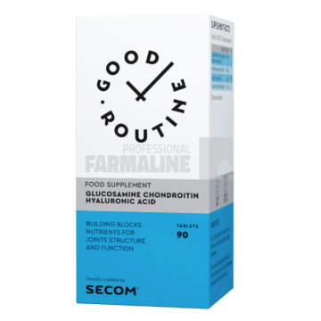 Glucosamine Chondroitin Hyaluronic Acid - Good Routine 90 comprimate