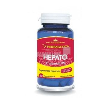 Hepato Curcumin95 60 capsule