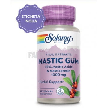 Mastic Gum Extract 45 capsule