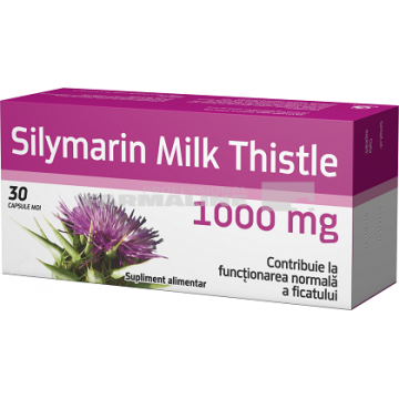 Silymarin Milk Thistke 1000 mg 30 capsule moi