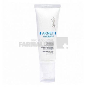 Bionike Aknet Hydra Plus Tratament reparator pentru tenul seboreic 40 ml