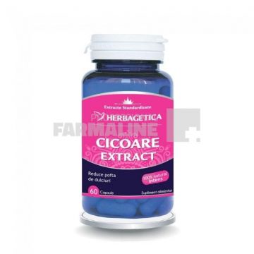 Cicoare extract 60 capsule