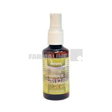 Ulei din samburi de struguri 10 ml