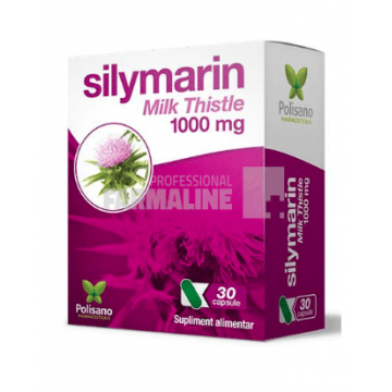 Silymarin Milk Thistle 1000 mg 30 capsule