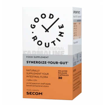 Synergize Your Gut - Good Routine 30 capsule