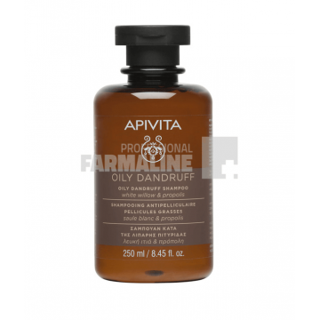 Apivita Hair sampon pentru matreata grasa 250 ml