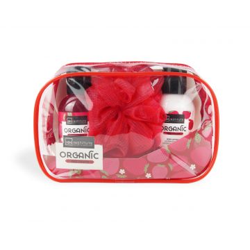 Set Organic Red Fruit Trasparennt Bag, IDC Institute