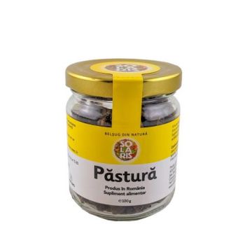 Pastura, 100g, Solaris