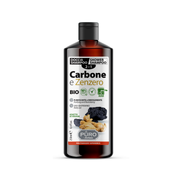 Sampon si gel de dus 2in1 cu ghimbir si carbune, 250ml, Puro by Forhans