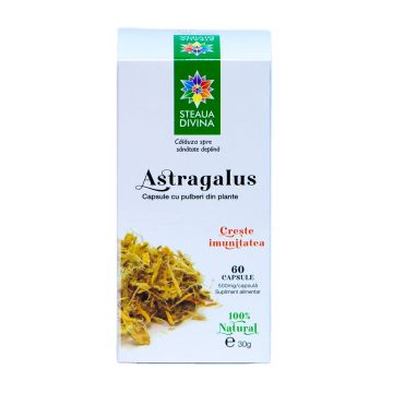 Astragalus 500mg, 60 capsule, Steaua Divina
