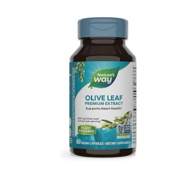 Olive Leaf 20% SE Nature's Way, 60 capsule, Secom