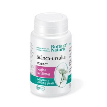Brânca Ursului Extract, 60 capsule, Rotta Natura