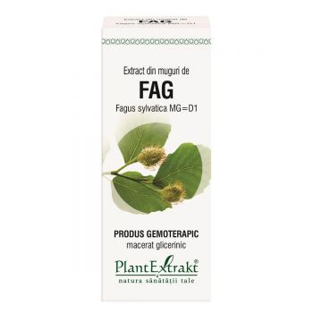 Extract din muguri de Fag, 50 ml, Plant Extrakt