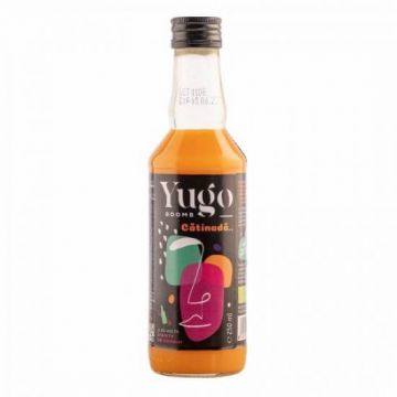 Suc de catina ecologic Yugo, 250 ml, Elgeka