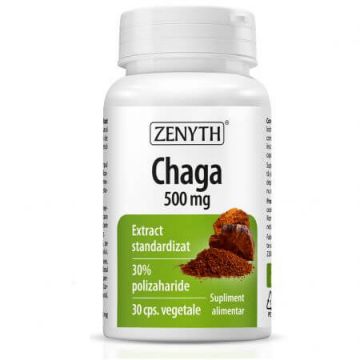 Chaga Extract, 30 capsule, Zenyth