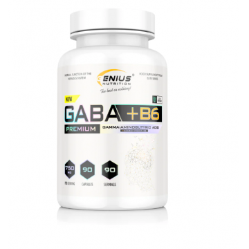 GABA + B9, 90 capsule, Genius Nutrition