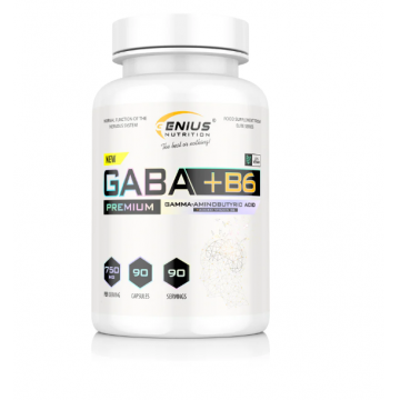 GABA + B6, 90 capsule, Genius Nutrition