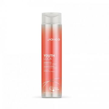 Sampon cu colagen pentru par matur Joico Youthlock, 300 ml (Concentratie: Sampon, Gramaj: 300 ml)