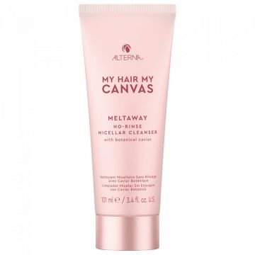 Sampon uscat Alterna, My Hair My Canvas Meltaway, 101 ml